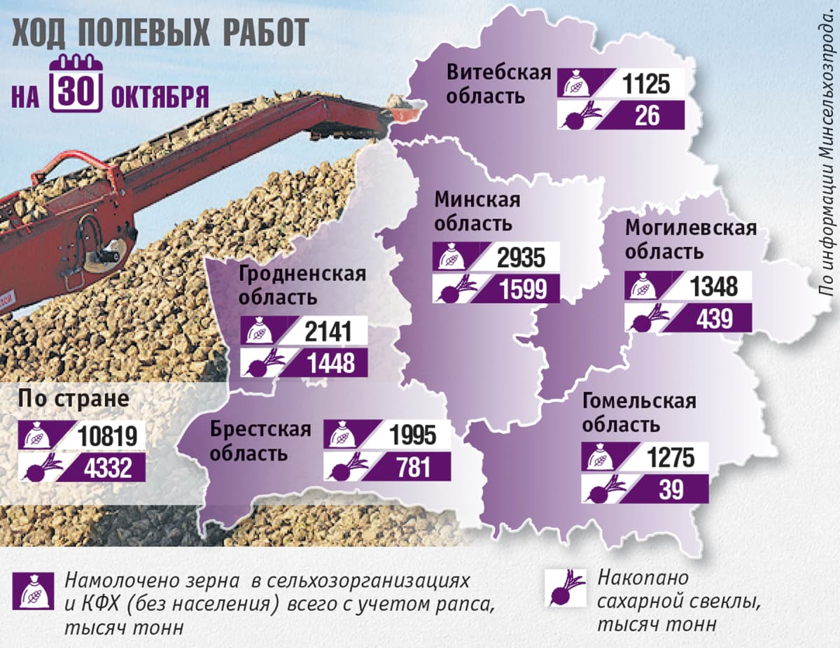 Инфографика Ольги ПАК