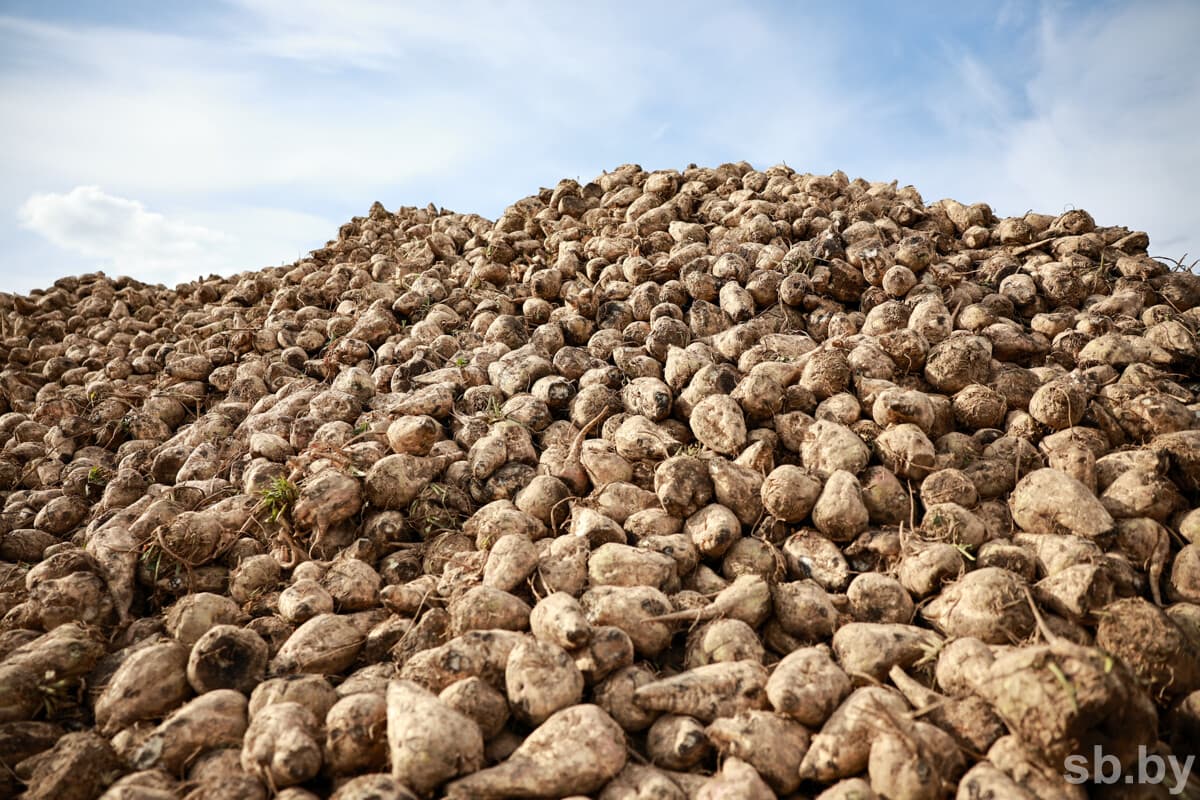 Illustrative SB photo