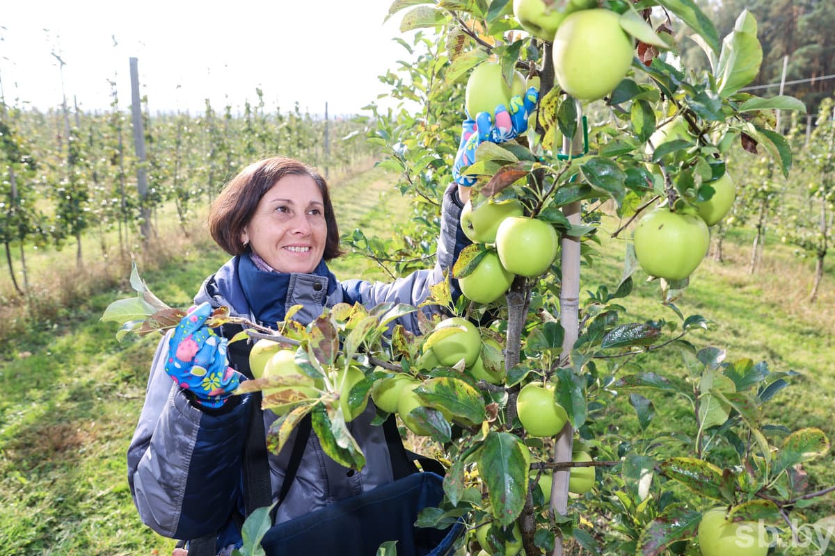 Marina Sagittarius, gardener.