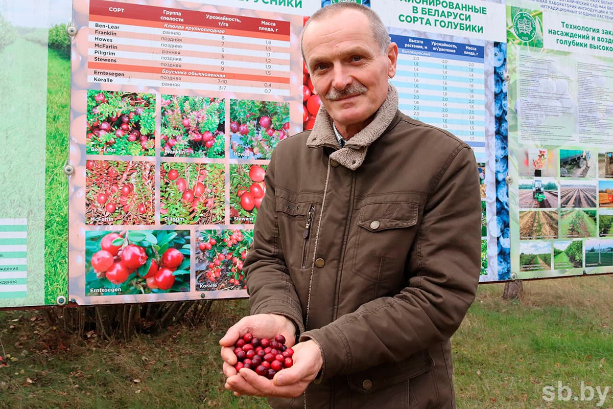 Николай Павловский.
