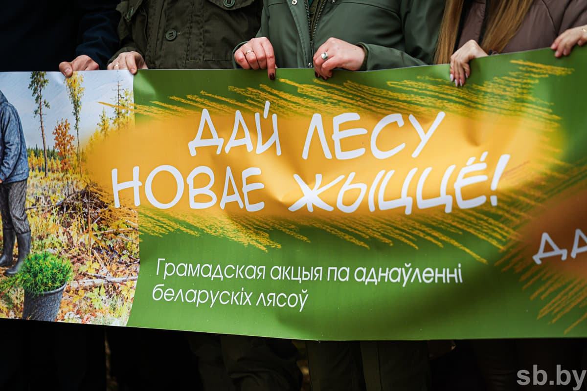 On the territory of the Ruden forestry, the participants of the action planted about 13,000 alder seedlings and ate on an area of over 3 hectares, where they had previously conducted a sanitary felling.