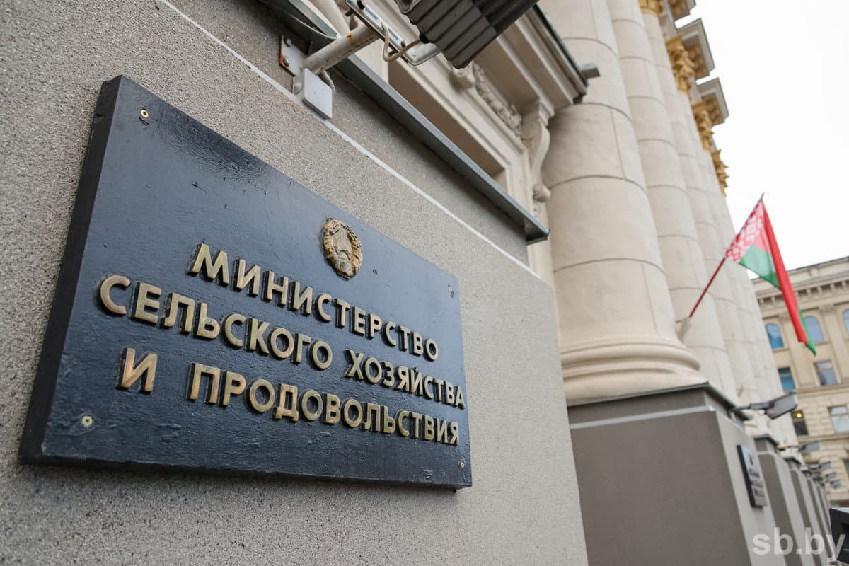 Иллюстративное фото «СБ»
