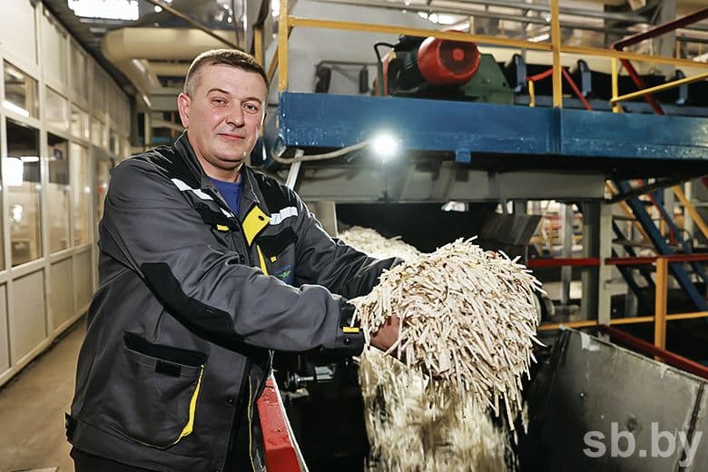 Diffusion operator Victor Fedchik.
