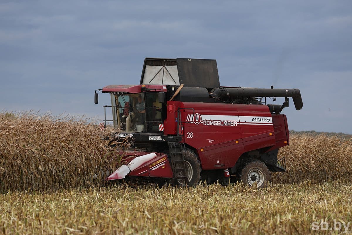 Ivan Kimoshevsky, Head of Crop Production of Vasilishki, is sure that a set of factors is of great importance for achieving high indicators: