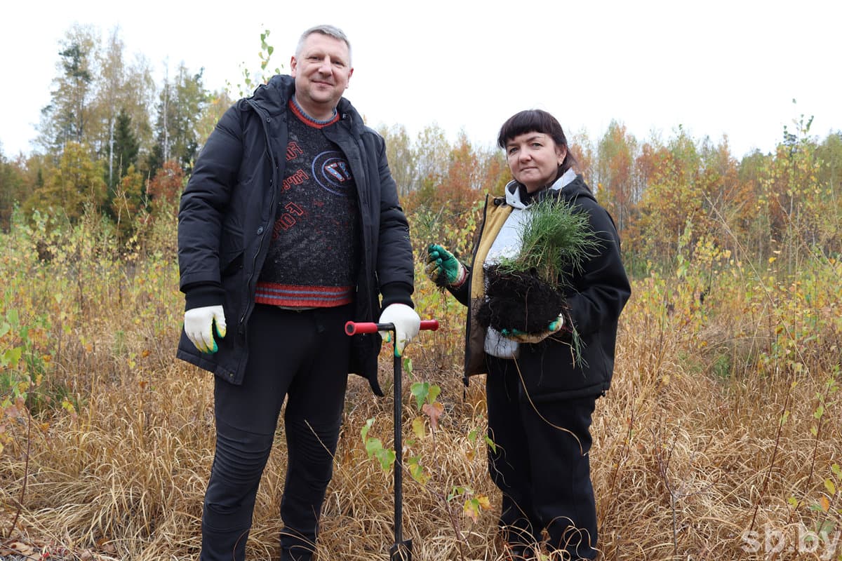 Anna's partner in planting the forest, the leading system administrator of the raypo Ivan Bulaty, deftly managing Kolesov's sword, supports a colleague: