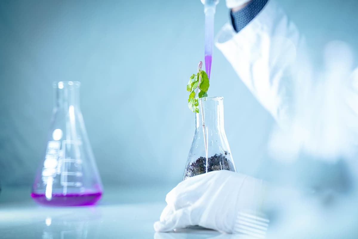The expert told how the world bioeconomy is developing and at what stage Belarus is in this system