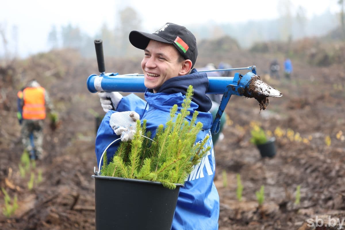 All participants worked quickly, smoothly, fun. Ulyana Sharshkova and her granddaughter Milana also contributed to the restoration of the forest, who also came from Minsk.