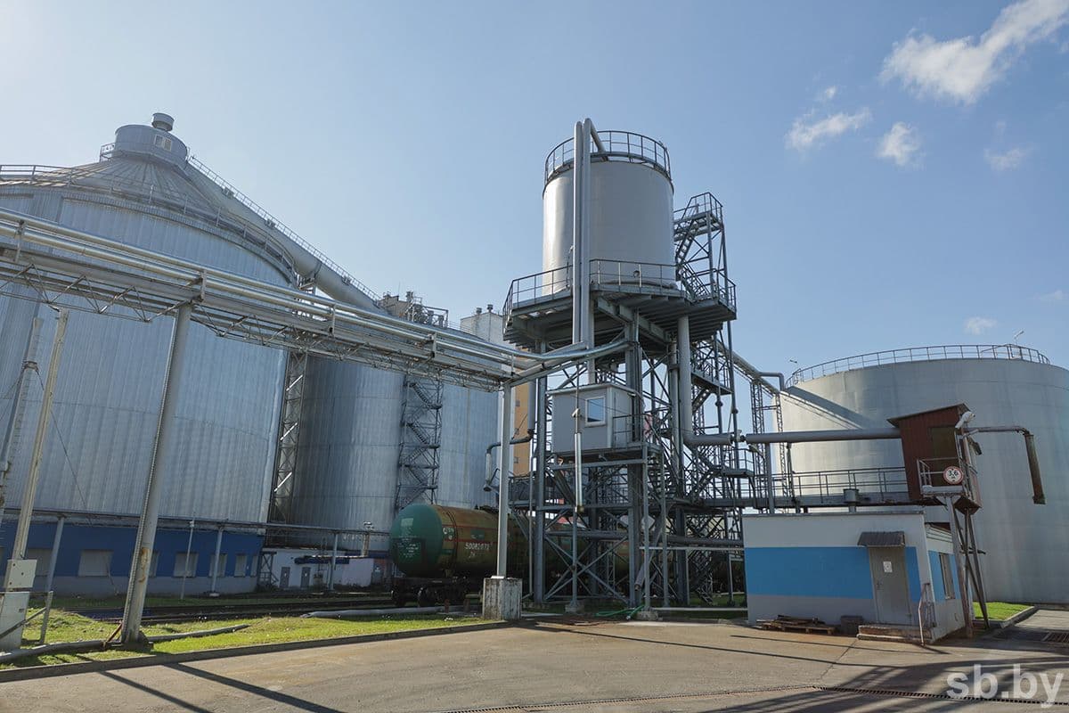 At the enterprise, the procurement campaign began on August 18. Raw materials here come from Minsk, Grodno, Mogilev and Vitebsk regions.