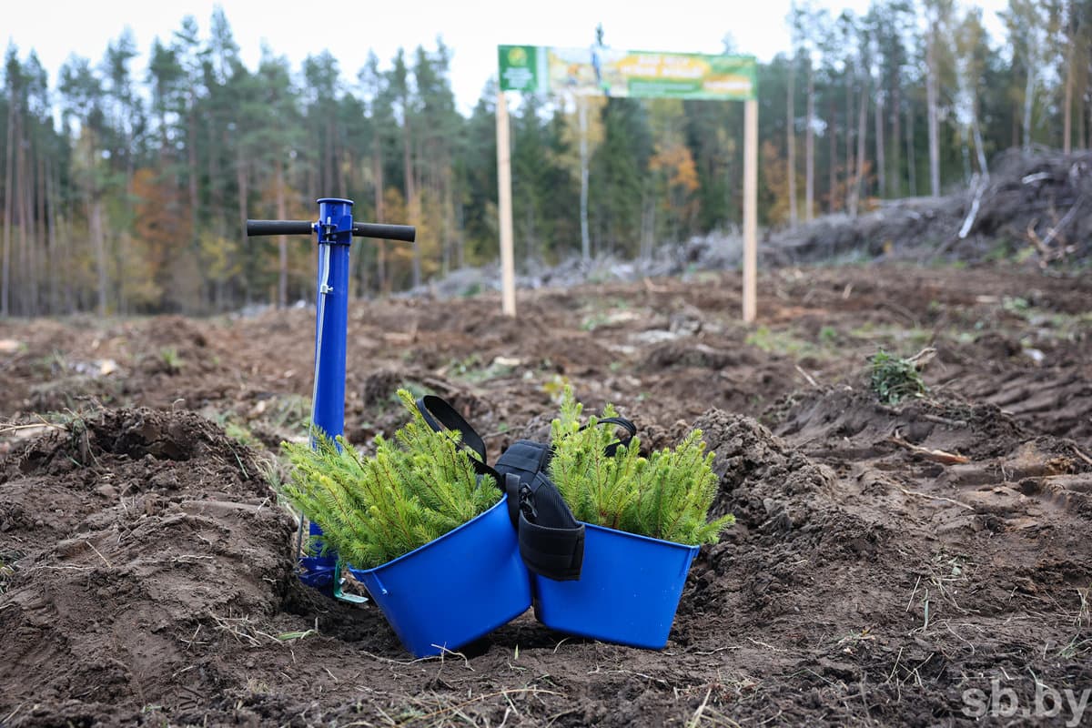 Therefore, the help of volunteers will be very useful. According to Sergei Uldinovich, participation in the action, especially families with children, allows you to feel love for the forest and nature in general.