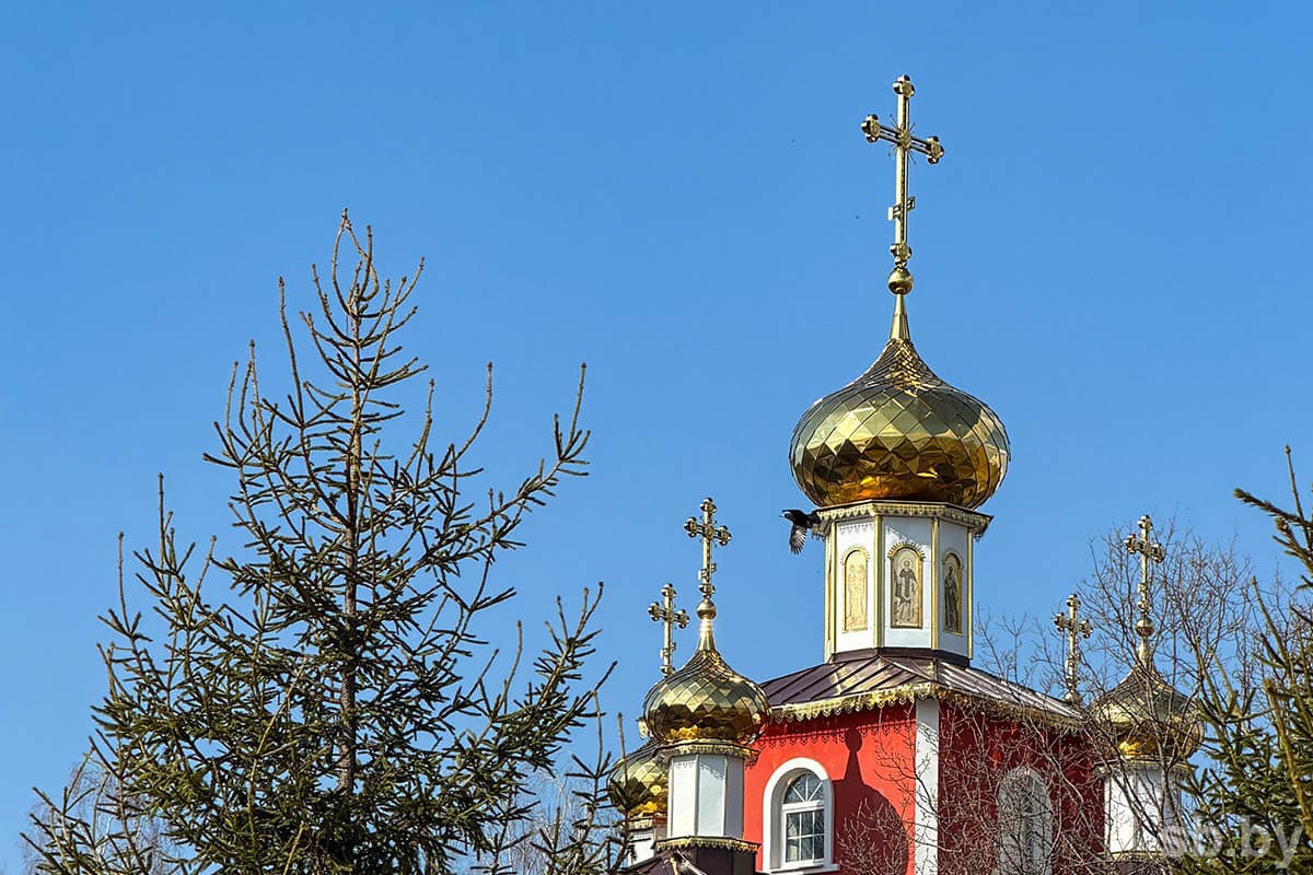 Иллюстративное фото из архива «СБ»