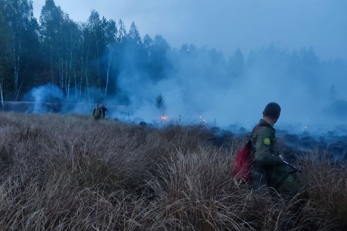 In Belarus for the day eliminated three forest fires Photo provided by the Ministry of forestry.
