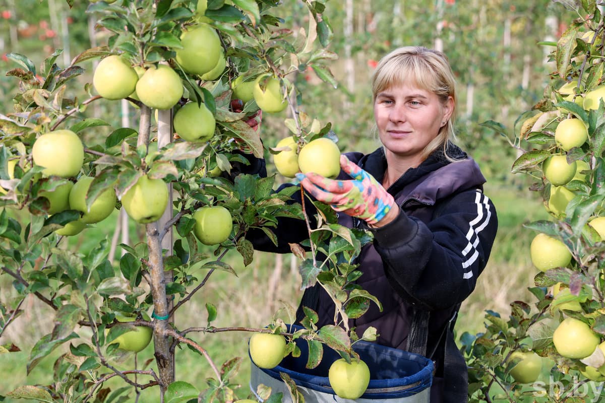 Christina Ostapuk, gardener.