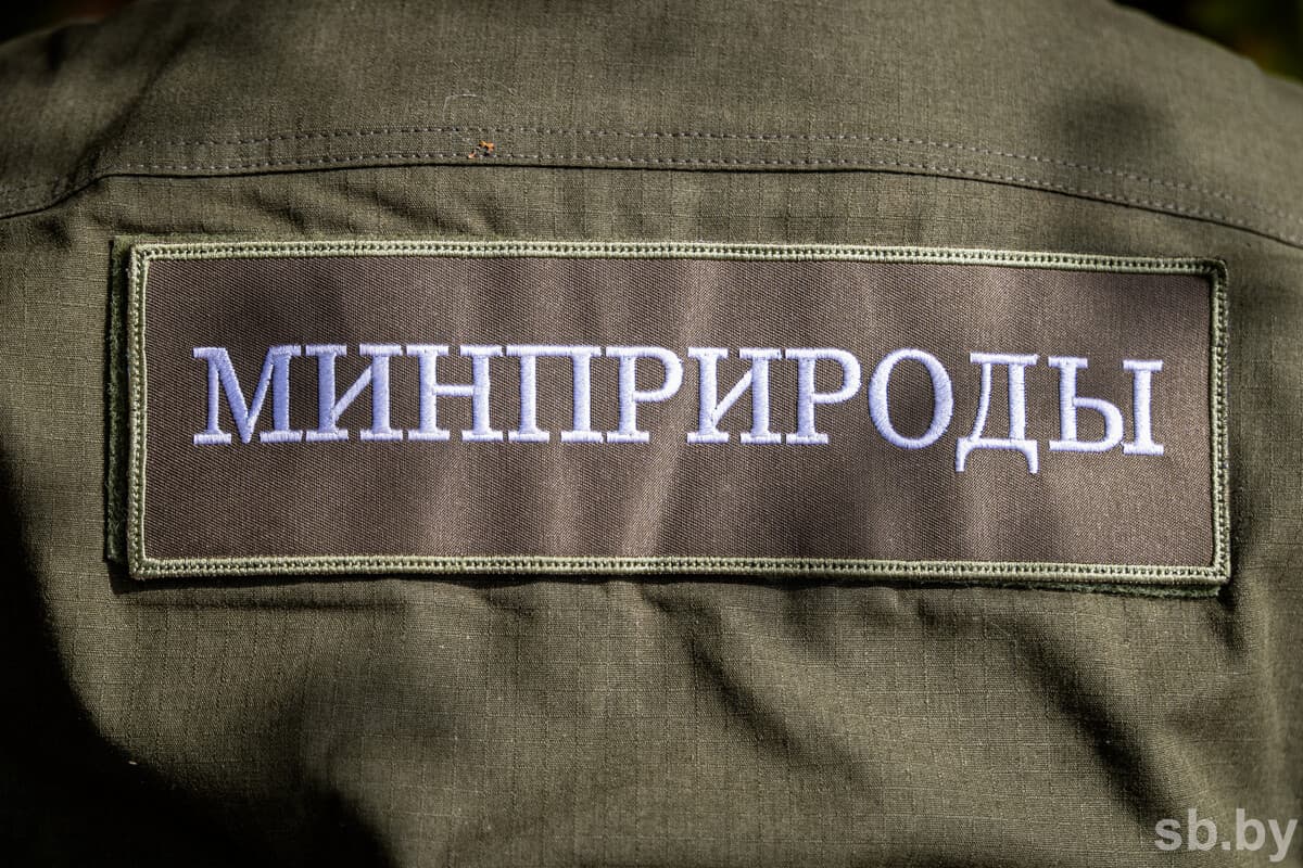 Иллюстративное фото «СБ»