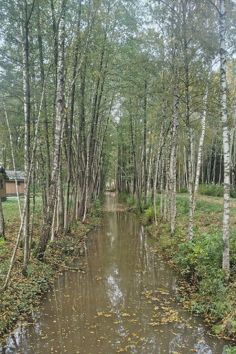 Foto: Minsk City Committee of Natural Resources and Environmental Protection.
