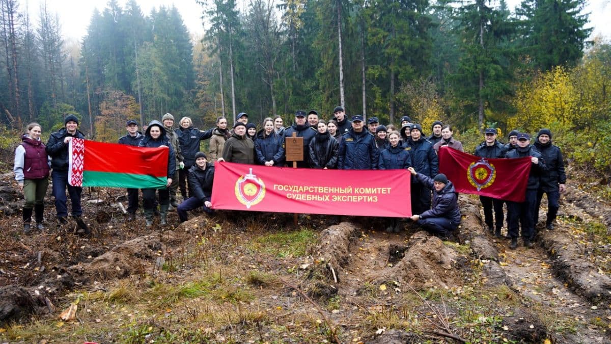 Республиканская осенняя кампания, организованная по инициативе Министерства лесного хозяйства, направлена на ликвидацию последствий непогоды.