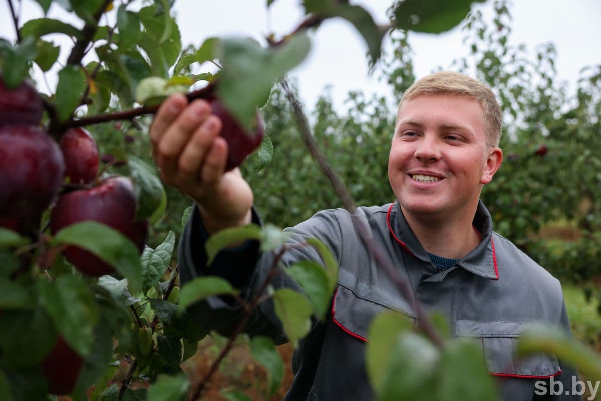 Agronom-gardener Alexander Romashka.
