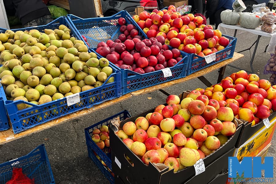 179232432608