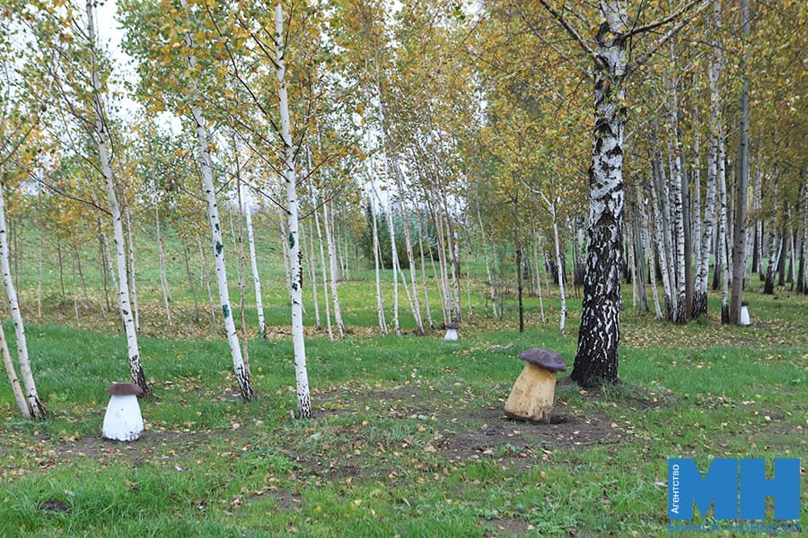 2026 10 22 obshhestvo zona otdyha lyubimye skazki pozhoga 29 kopiya