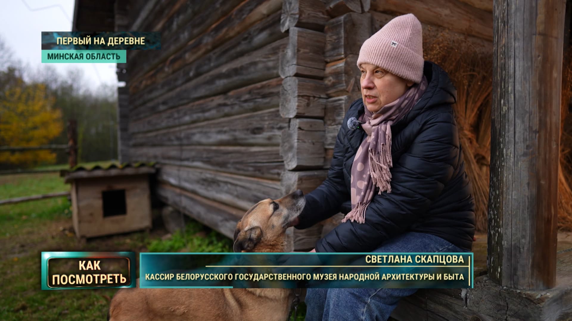 Museum without cages: how in the lake live horses, sheep and cats-employees