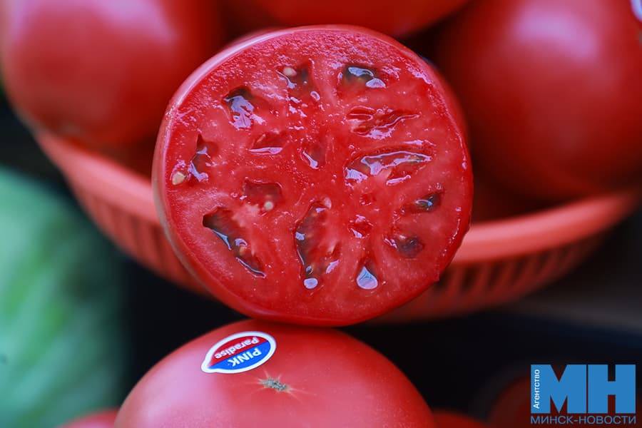 komarovka pomidory tomaty ovoshhi