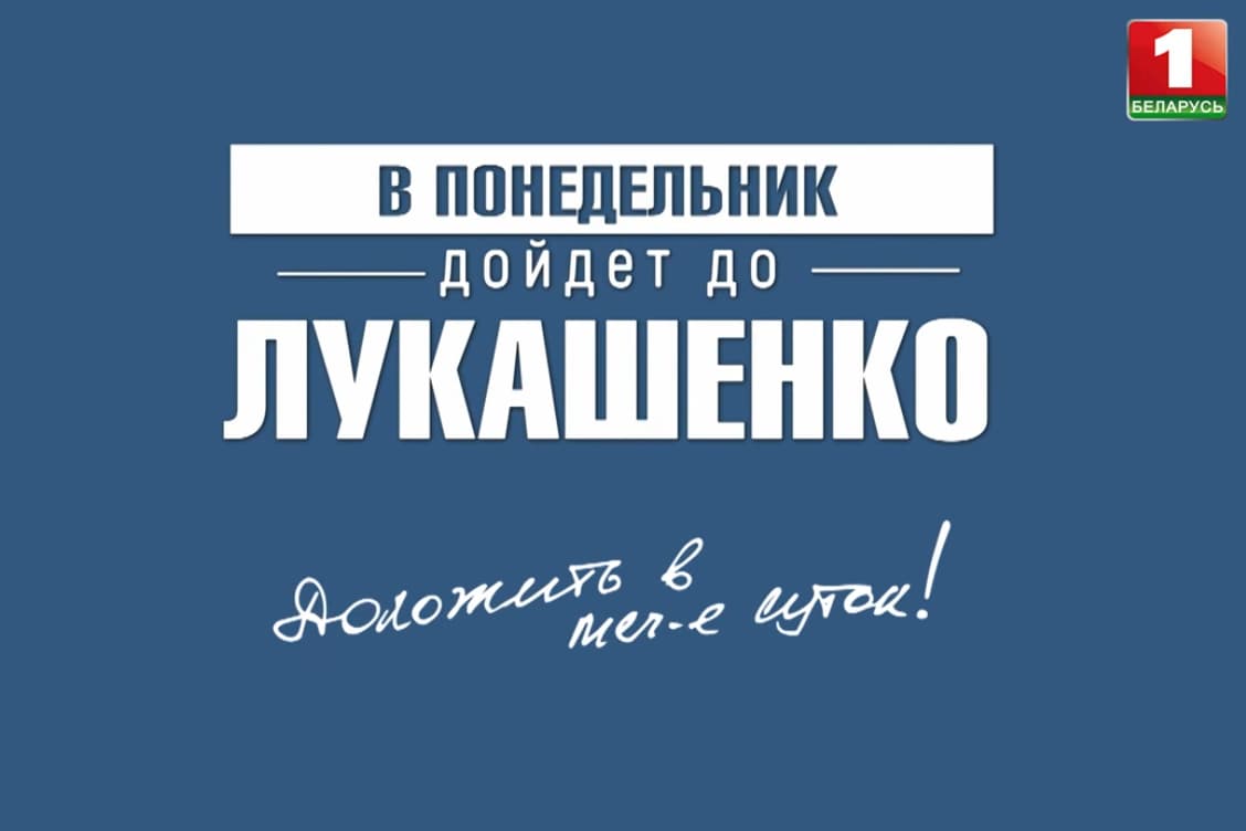 Купила дом, а на него упало дерево — что было дальше, в проекте «В понедельник дойдет до Лукашенко»