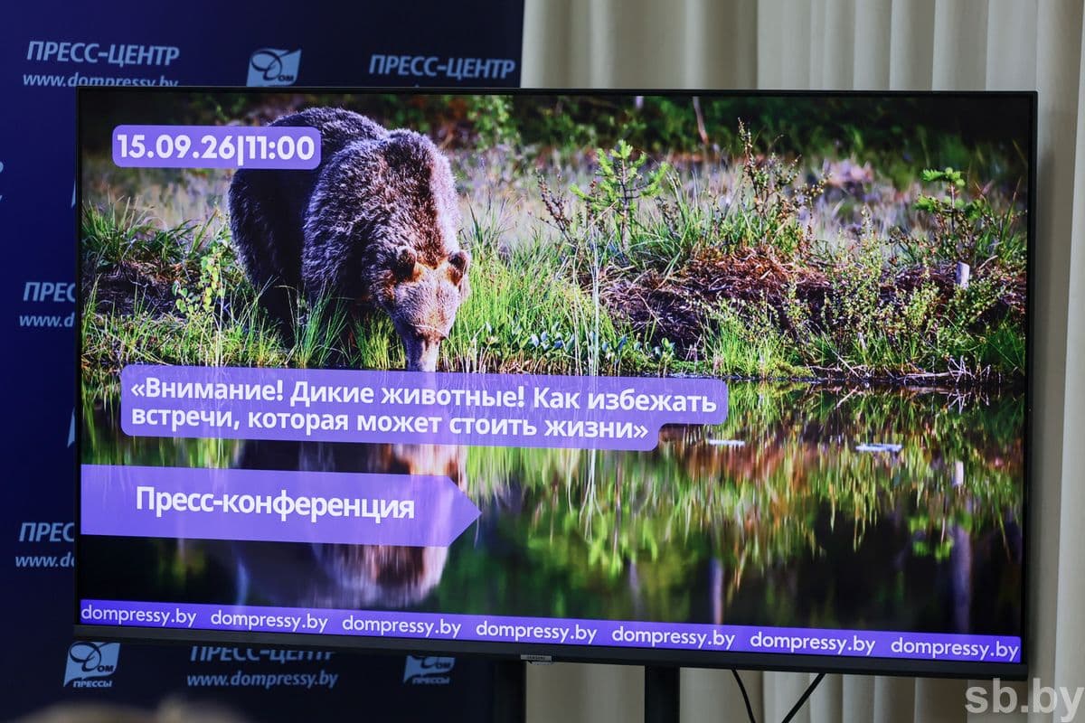 Фото на анонсе: архив «СБ»