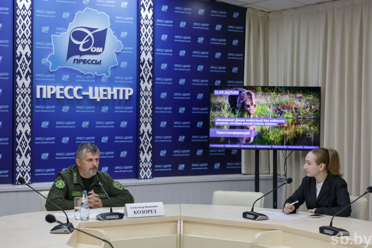 Каких диких животных в Беларуси больше всего, рассказали в Министерстве лесного хозяйства Фото на анонсе: иллюстративное фото Pexels