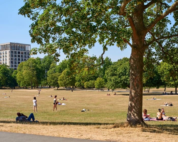 Access-to-nature crisis ‘on par with that of Victorian Britain’s filthy air’
