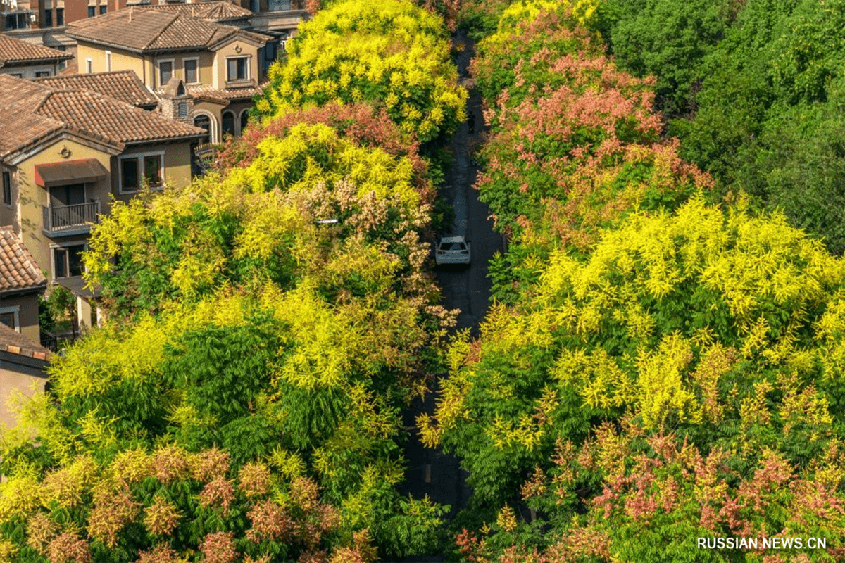 Фото Синьхуа .