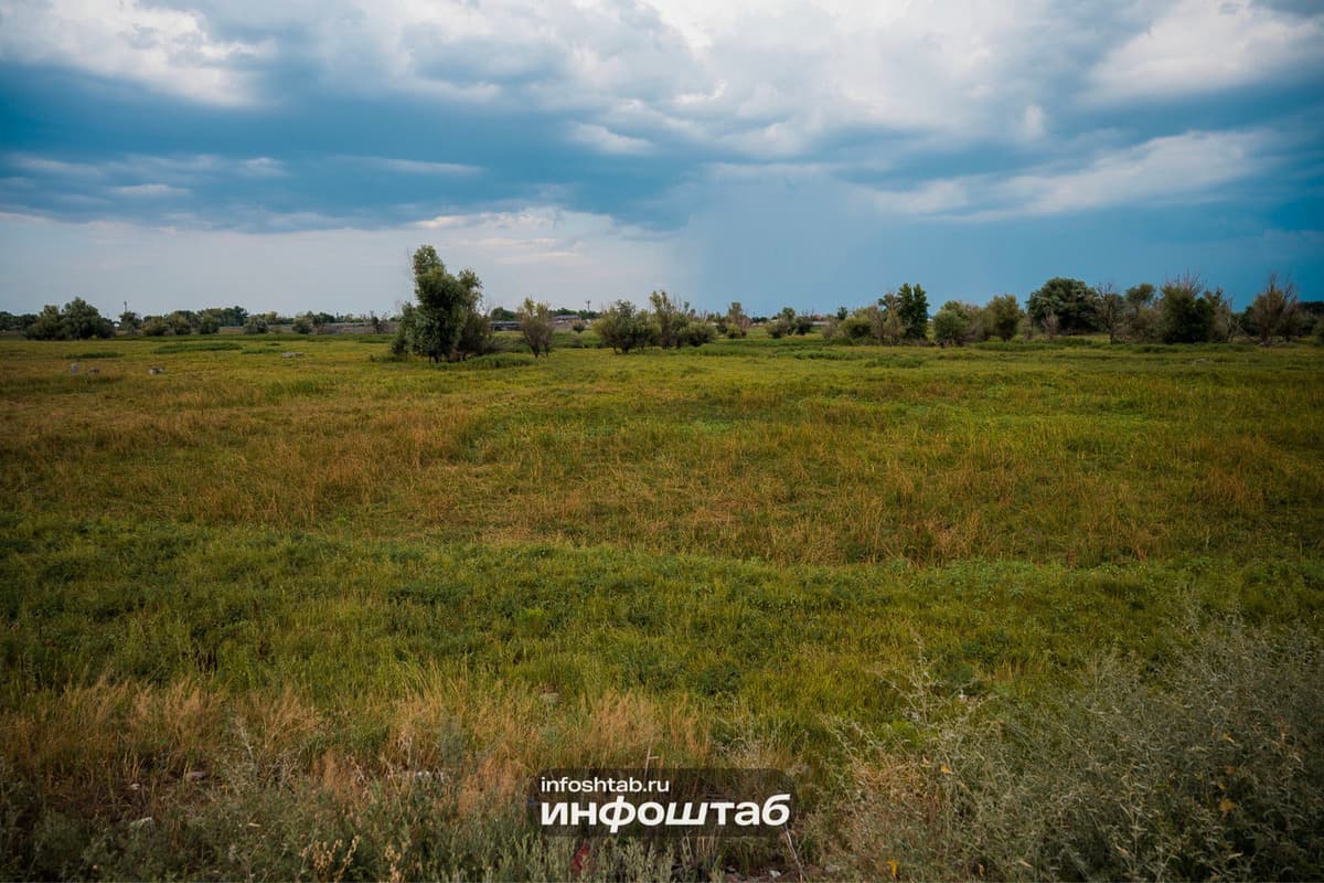 В Ульяновской области 19 сентября ожидаются заморозки до -1 градуса