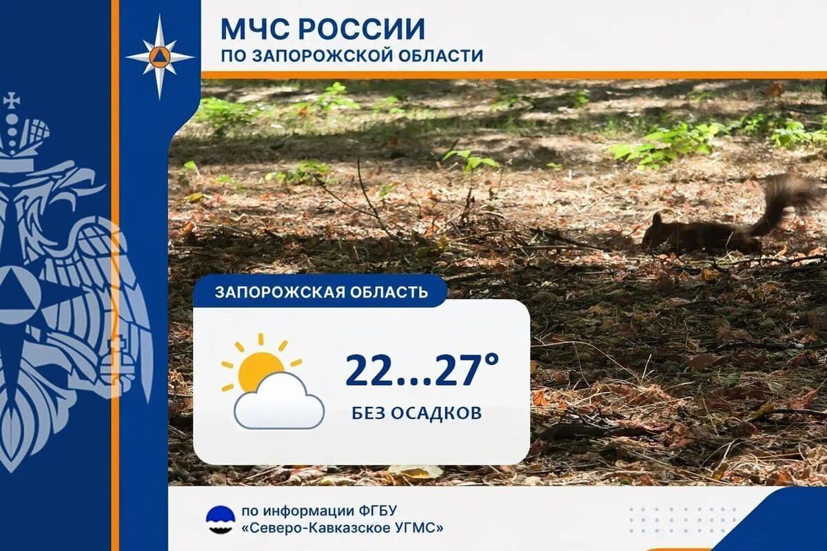 В Запорожской области ожидается переменная облачность без осадков