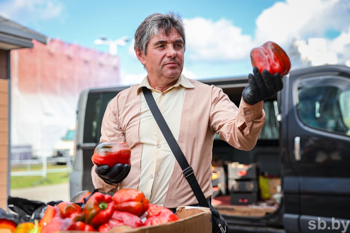 Перцы у продавца большие, яркие и ароматные. Как вырастить такие?