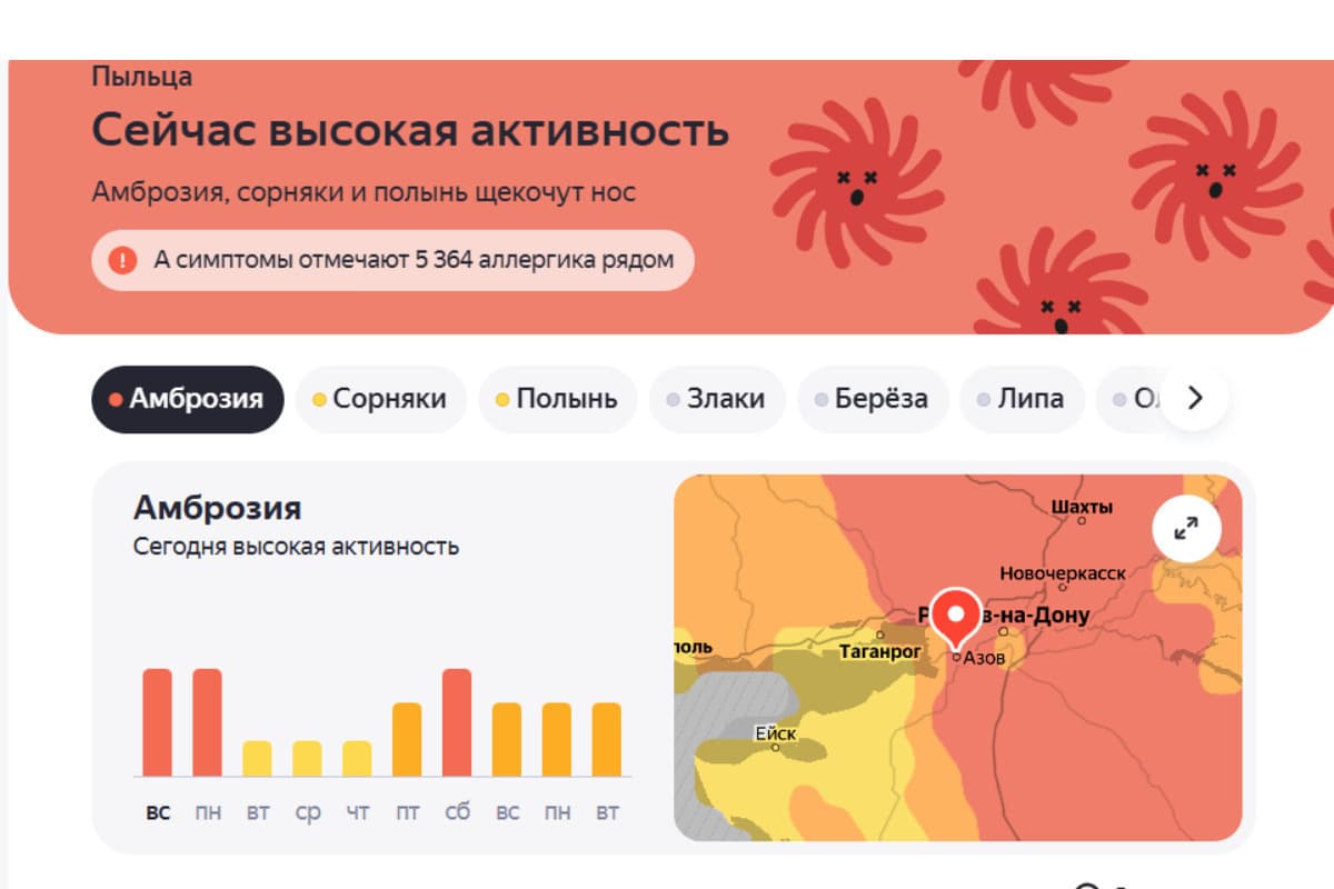 Жителей Ростовской области предупредили о пыльце амброзии в воздухе