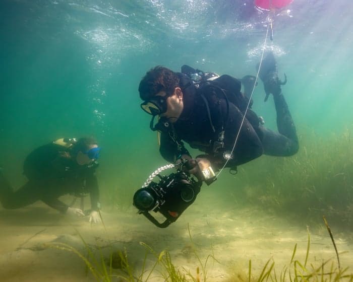 ‘Incredibly encouraging’: healing the scars of traditional anchors in Dorset’s seagrass meadows
