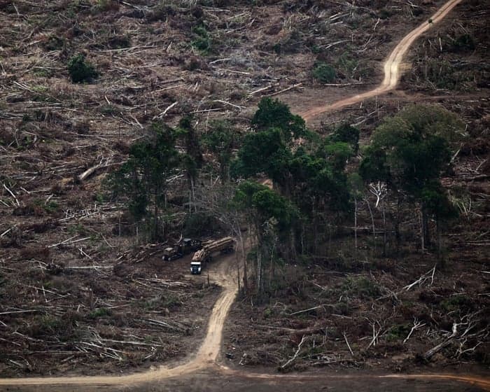 ‘Planetary boundaries’ necessary for flourishing of life have been massively breached, scientists warn