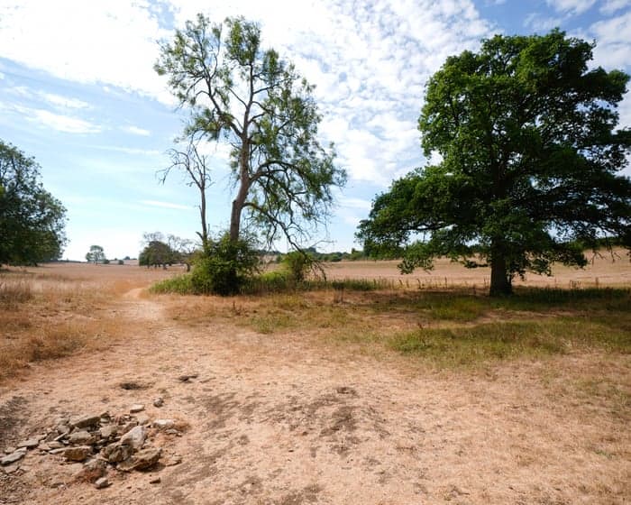 Wildlife will be affected by current drought for years to come, UK government says