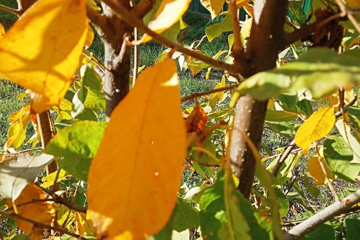 Сила магнитной бури 22 сентября составит 2 балла: хорошее время для знакомств с людьми
