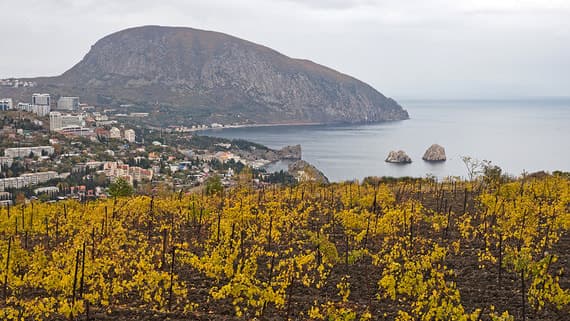 У воронежской группы «Развитие» появился еще один проект в Крыму