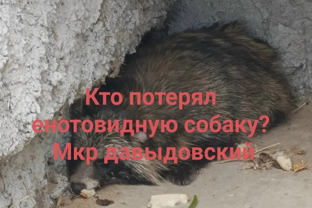 В Костроме обновят фасады трех исторических домов за счет туристического налога