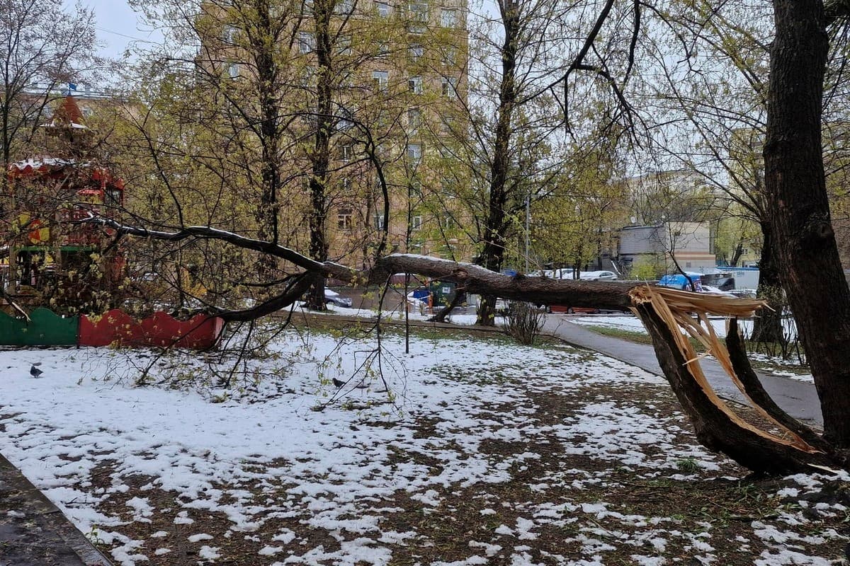 Сильные дожди обрушатся на Камчатку и Якутию