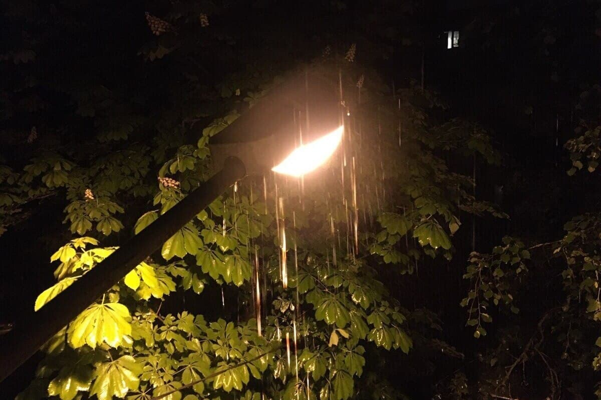 Со вторника в Воронежской области начинаются дожди