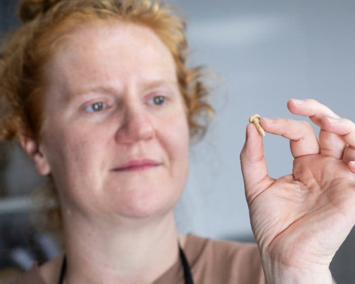 Glimpses into lives of Roman suburbanites in Bath revealed in rare finds
