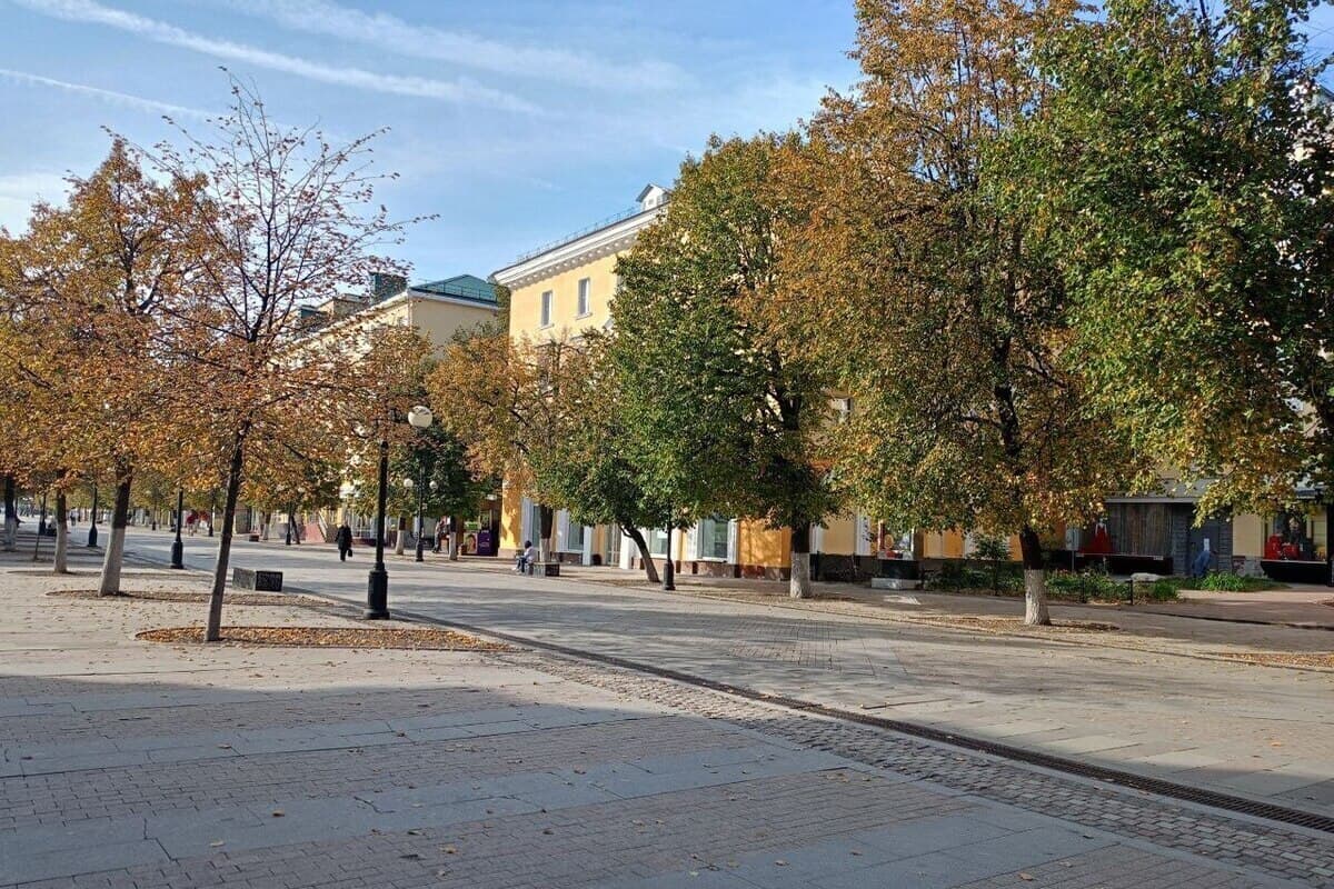 Порывы ветра до 18 метров в секунду ожидаются в Пензенской области в четверг