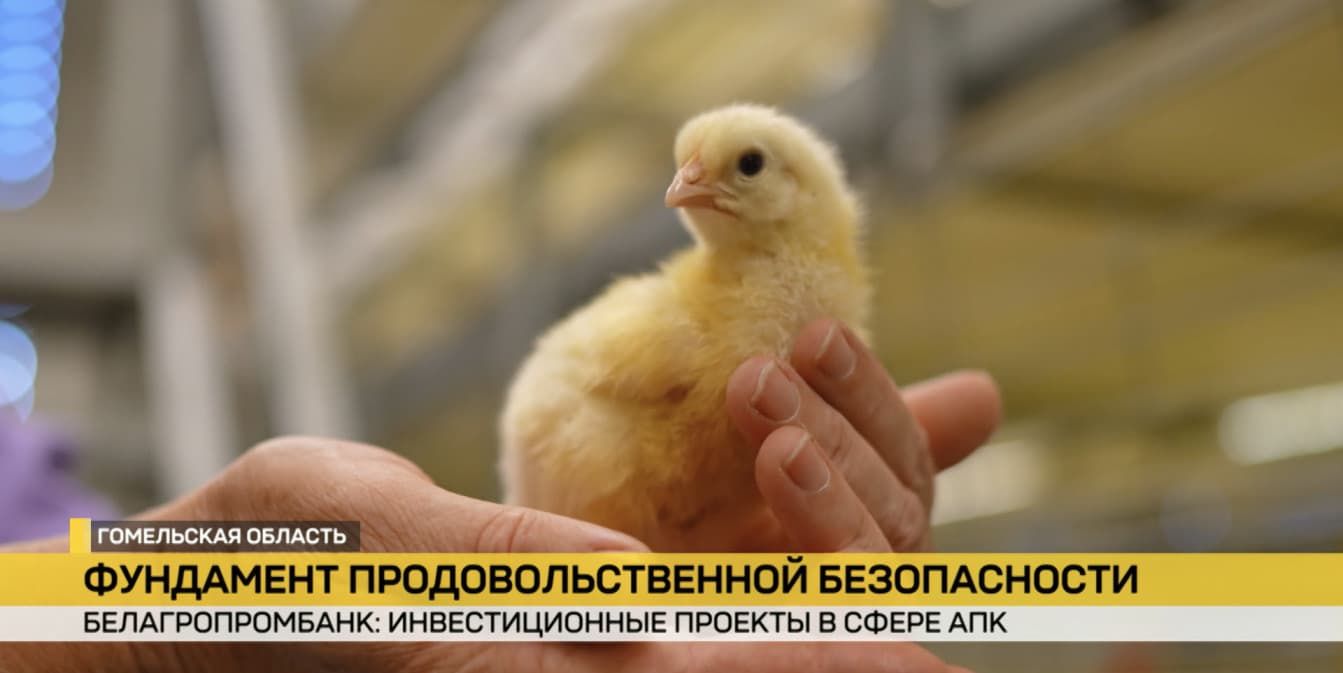 Белагропромбанк с помощью продвинутых проектов и инициатив помогает бизнесу стать успешным