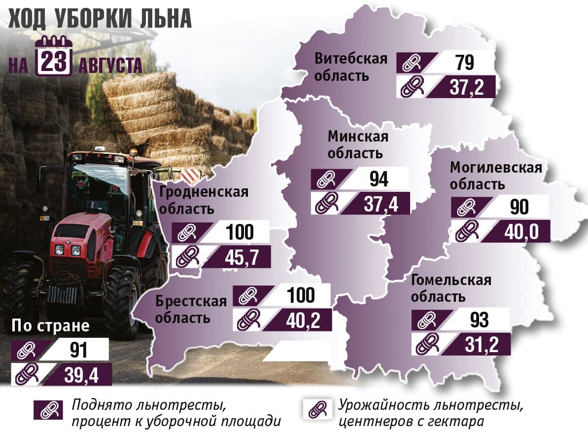 Инфографика Александра Будая