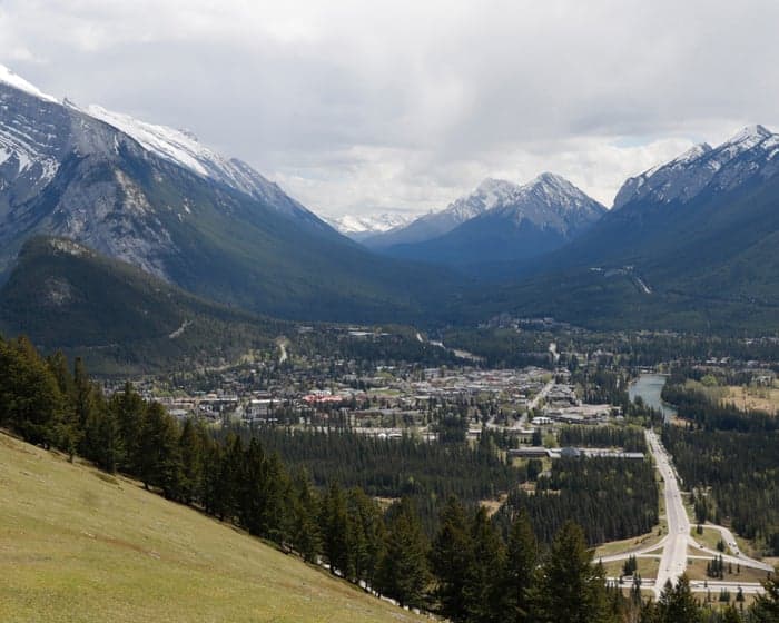 Alberta’s self-image as world’s only rat-free region shattered by discovery of rat