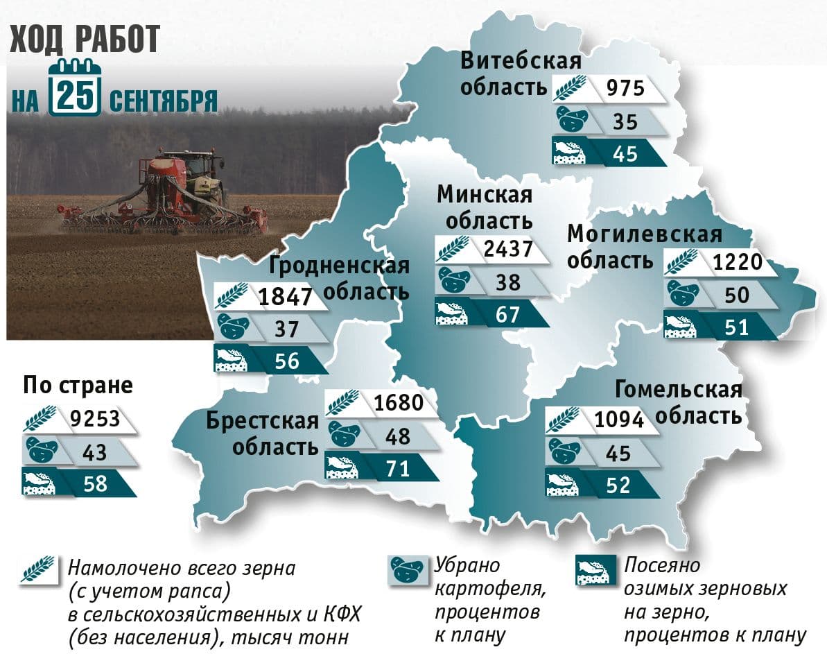 Инфографика Александра Будая