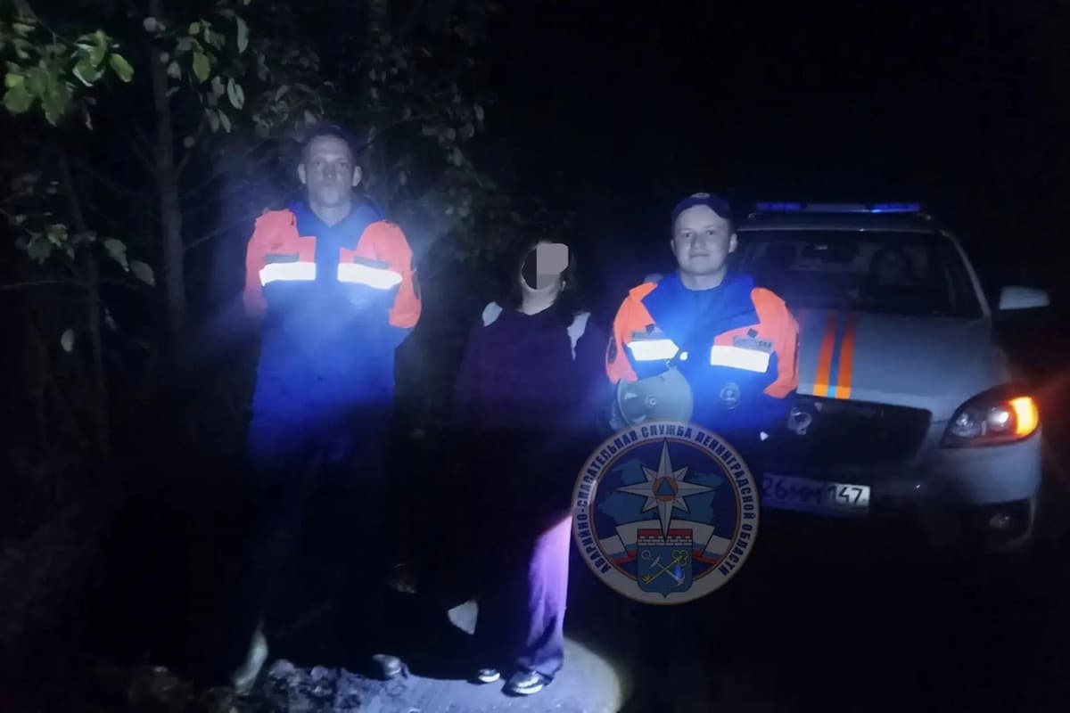 A woman lost in the evening was rescued from a forest in the Priozersky district