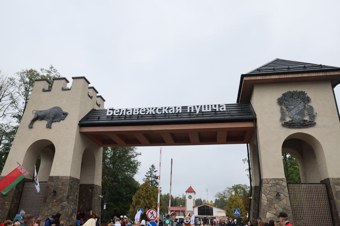 В Беловежской пуще планируют построить новую резиденцию Деда Мороза