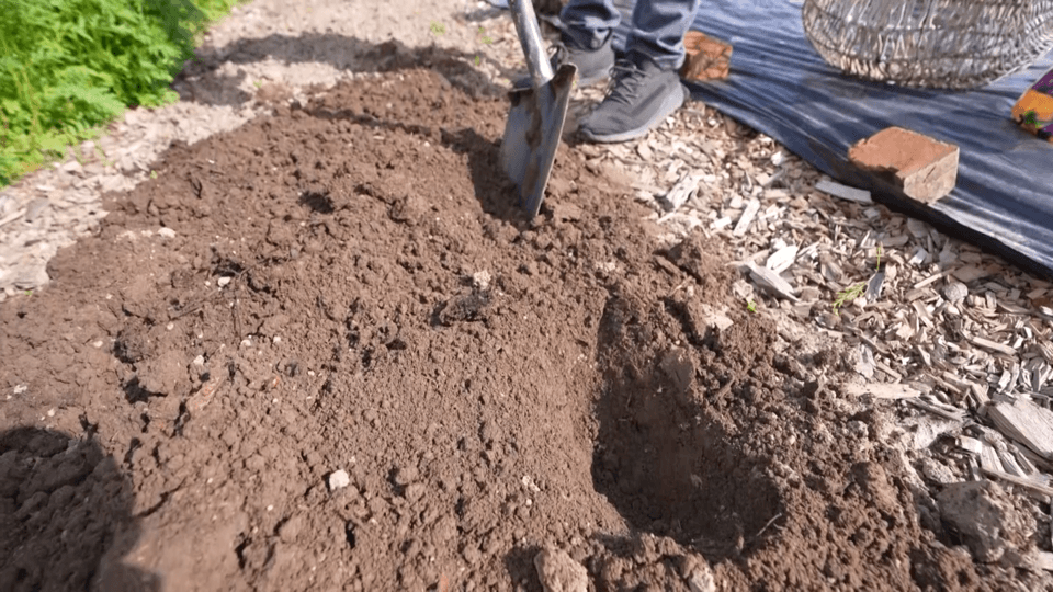 Человек копает лопатой грядку с рыхлой коричневой землей на дачном участке. Рядом видны древесная мульча, укрывной материал и кирпичи.